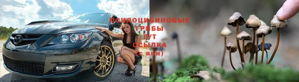 гидропоника Алзамай