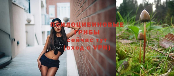 гидропоника Алзамай