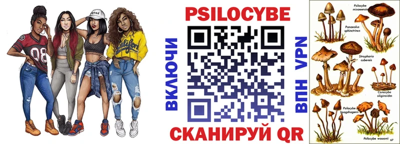 Псилоцибиновые грибы MAGIC MUSHROOMS  Бронницы 